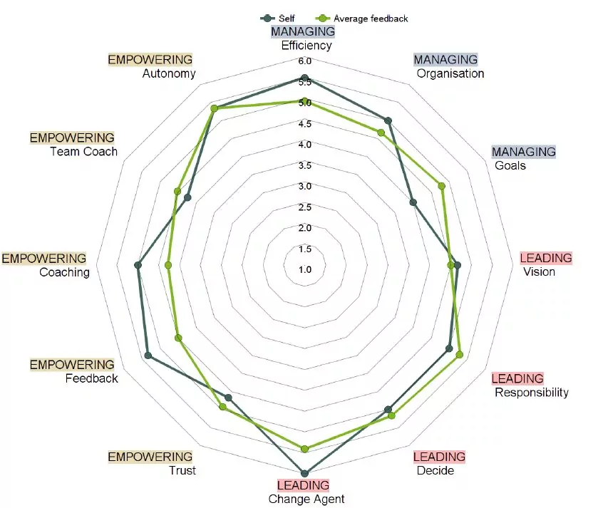 360 Degree report extract spiderchart